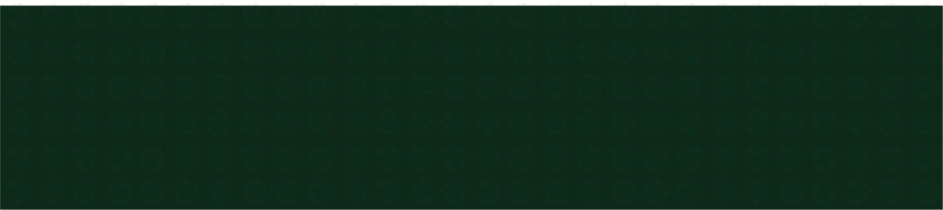 footer-pattern