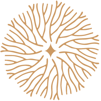 redefine-logo