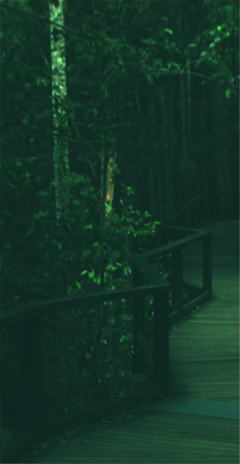 nature-trails-img