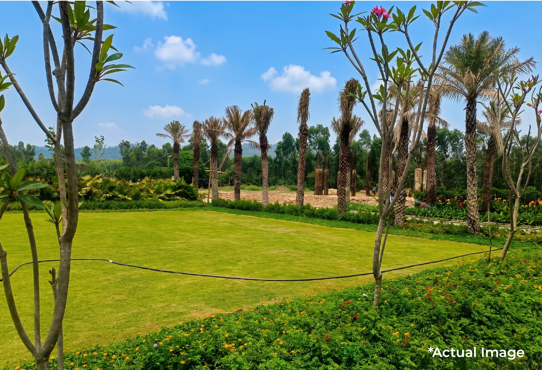 Garden Lawn