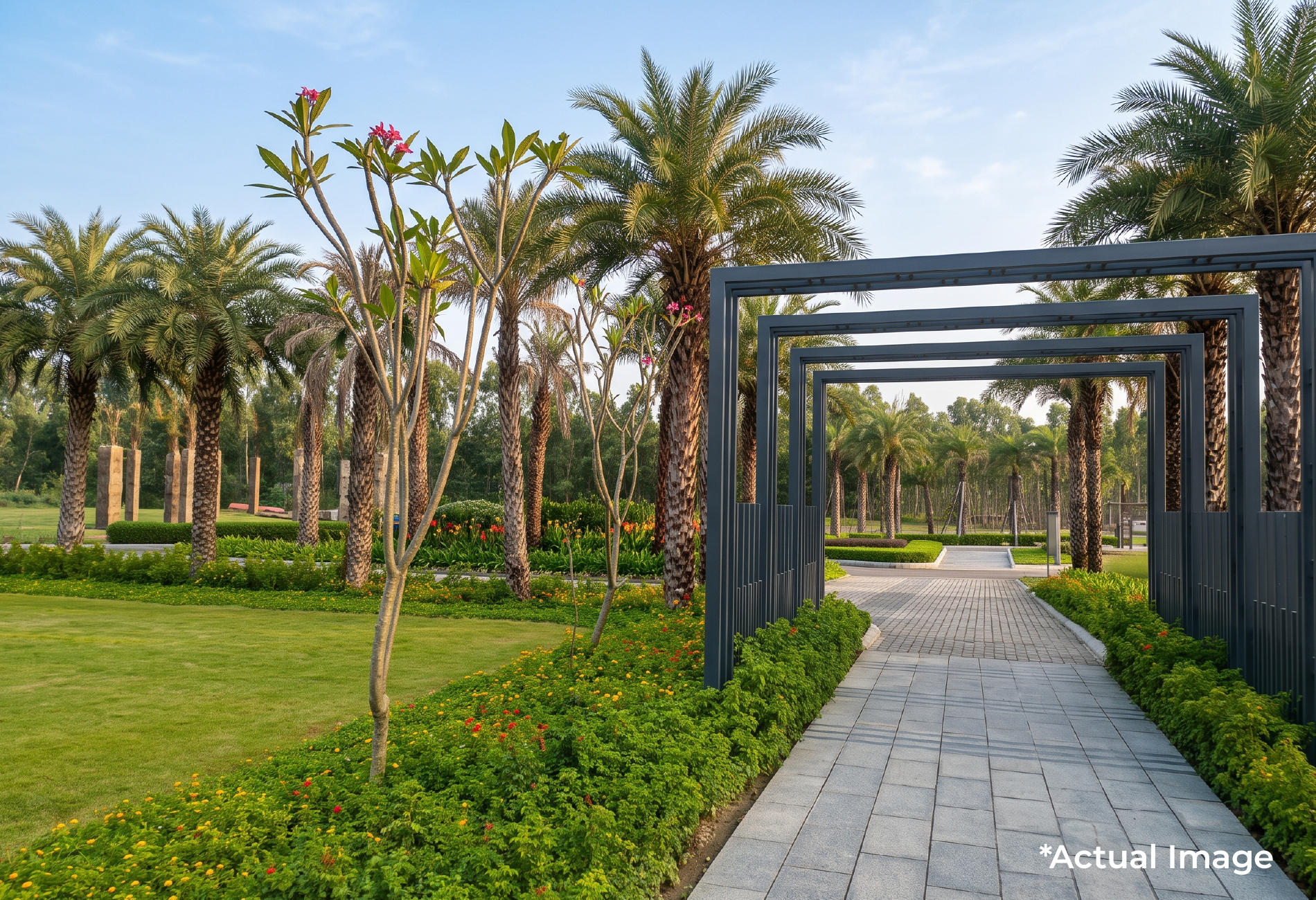 Palm Lawn